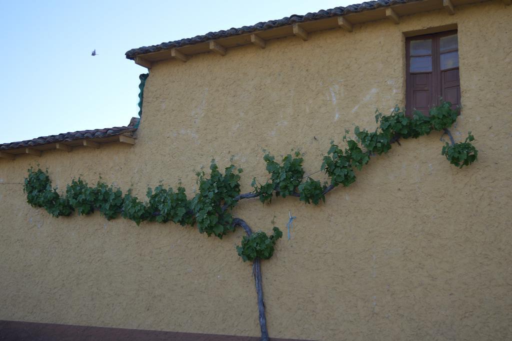 Casa Rural Los Llaganos Villaturiel 외부 사진